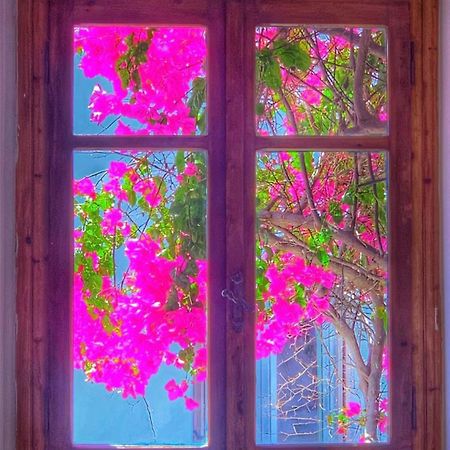 Naxos City Mare Naxia Hotel מראה חיצוני תמונה
